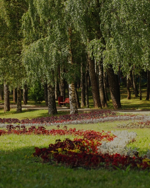 парк Сосенки